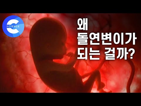 적혈구에 돌연변이가 생기면 말라리아에 안 걸릴까?