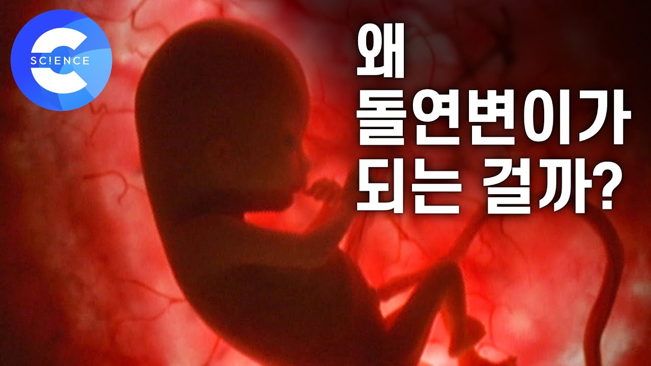 적혈구에 돌연변이가 생기면 말라리아에 안 걸릴까?