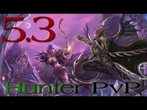90 BM hunter PvP (1080p) WoW MoP - World of Warcraft BattleMasterPvP