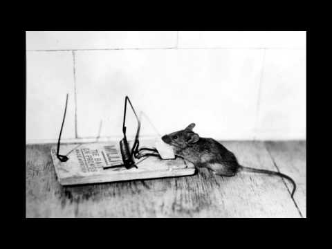 2HB - Trapping X Poszwixxx X Czikita X Cimur