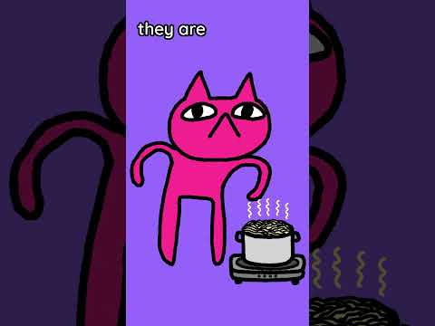 Non Instant Noodles - little purr man