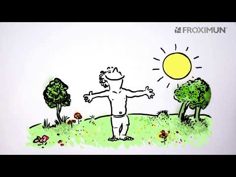 Detox Dich gesund!  - So wichtig ist der Darm dabei!