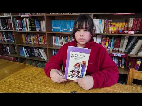 Video Booktubers 2026 - Carmín Castro , 4to básico , Osorno, Región de los Lagos
