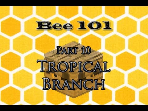 FTB: Tropical Branch (Bee 101 Pt. 10)