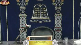 בית המדרש "תורת דוד" ¤ שידור חי ¤ כ"ו תמוז תשפ"ה (22.7.2025) (מוסדות תורת דוד) - התמונה מוצגת ישירות מתוך אתר האינטרנט יוטיוב. זכויות היוצרים בתמונה שייכות ליוצרה. קישור קרדיט למקור התוכן נמצא בתוך דף הסרטון בית המדרש "תורת דוד" ¤ שידור חי ¤ כ"ו תמוז תשפ"ה (22.7.2025) (מוסדות תורת דוד) - התמונה מוצגת ישירות מתוך אתר האינטרנט יוטיוב. זכויות היוצרים בתמונה שייכות ליוצרה. קישור קרדיט למקור התוכן נמצא בתוך דף הסרטון