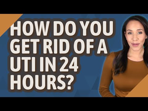 How do you get rid of a UTI in 24 hours?