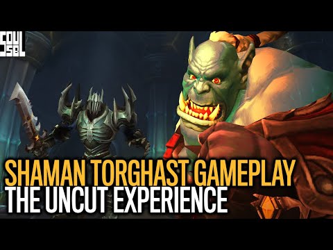 10+ Totems? Shaman in Torghast - Shadowlands Alpha Uncut Gameplay