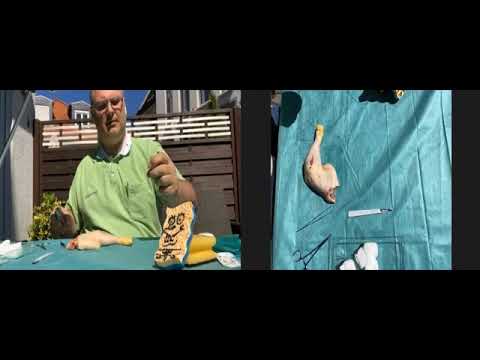 Doc Skills "Naht- und Knotenkurs"