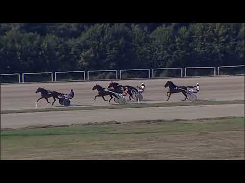 Napoli Trotto 06/10/2023 - 2ª prova di qualifica