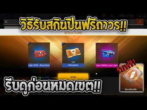ชื่อ ฟีฟาย