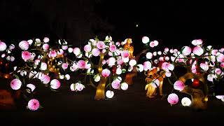 Belle &amp; Sebastian - There is an Everlasting Song