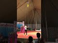 Great Surya Circus