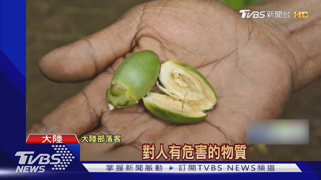 檳榔不能帶去土耳其 陸點名:多台人被捕