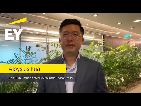 Evolving the role of internal audit to support environmental, social and governance goals