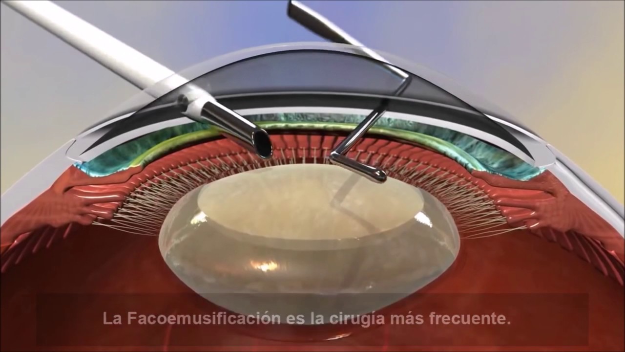 Sergio Rivera Guerra-7