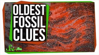 More Clues to the Oldest Fossils Ever