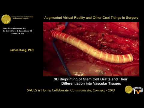 3D bioprinting of stem cell grafts & their differentiation into vascular tissues