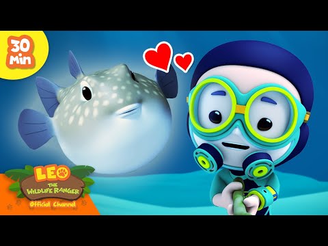 Witness21 Editor  2024 06 20