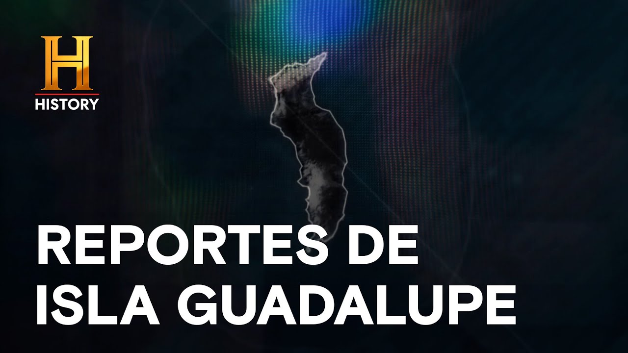 TESTIGOS DEL PACÍFICO  - NO IDENTIFICADO