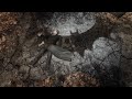 The Wayne S Get Killed By Scarecrow S Fear Toxin Batman Arkham Asylum