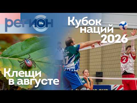 Международный волейбол / Клещи в августе | ОТС LIVE — прямая трансляция