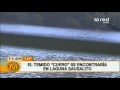 El Cuero Extraña Criatura Que Habitaría En Lagunas Chilenas