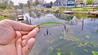 This Bait EQUALS Fish!
