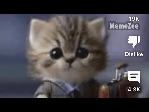 Art contest places, all the ones I got at least