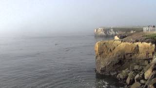 США 591: Утро туманное, утро седое...