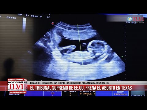 Noticiero TLV1 N°23 - Contra la guerra, el aborto, y la dictadura sanitaria