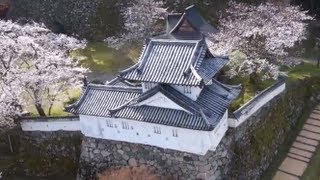preview picture of video '空撮：出石城・桜【兵庫県豊岡市】'
