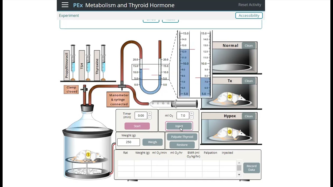 Explore PhysioEx Laboratory Simulations