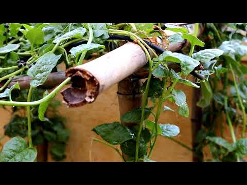 India Lockdown | Relaxing Video by Jaish Creations