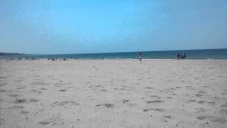 Jenna scares a flock of seagulls