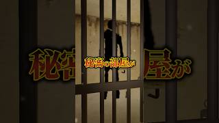 このゲームには謎の部屋が隠されています...【バニーバニーバニーオビー】  #ロブロックス #roblox #都市伝説 #shorts