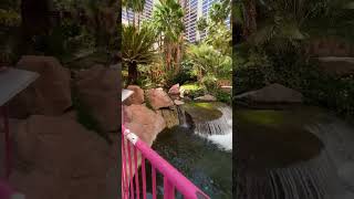 The Flamingo in Vegas #kurtshomliv #lasvegas #roadtrip #flamingo #fypシ゚viral