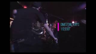 link 80 - dimestore hoods (live).