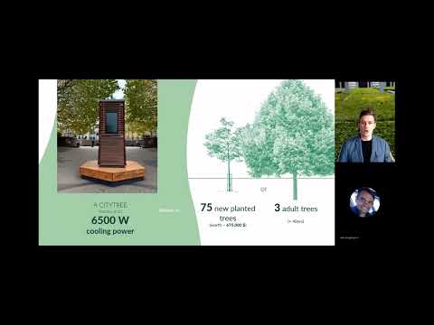 Moss: Natures Natural Air Pollution Filter