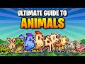 The Ultimate Guide To ANIMALS In Stardew Valley 1 6