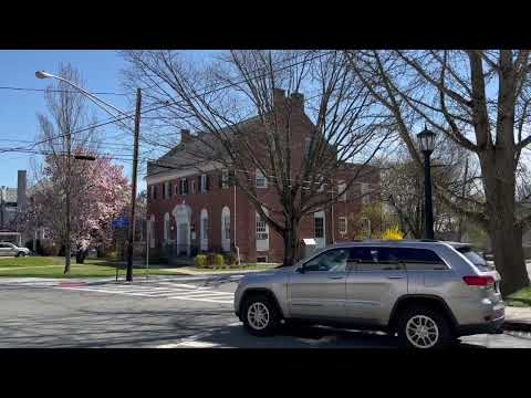 Newton’s Dennis Library