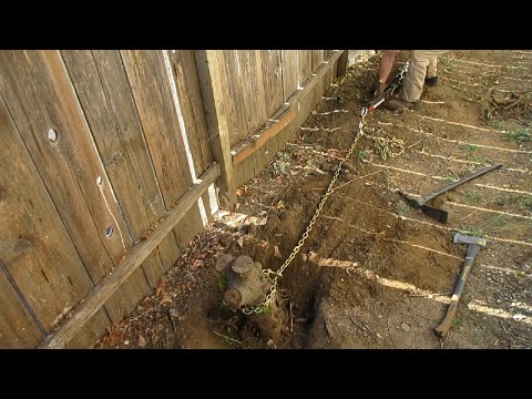 Tree Stump Removal with Hi-Lift Farm Jack Technique