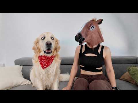 YouTube 썸네일