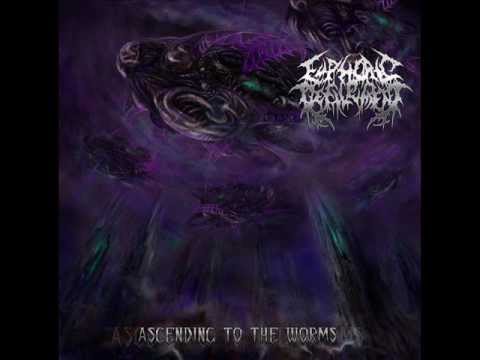 Euphoric Defilement-Abolishing The Divine Structure