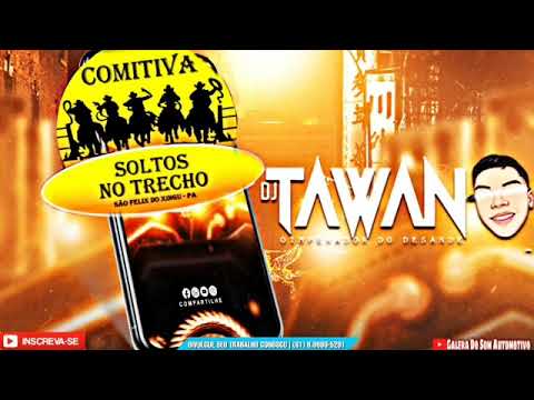CD COMITIVA SOLTOS NO TRECHO - SERTANEJO 2023 — DJ TAWANN