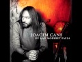 Joacim Cans - Smutsigt regn 