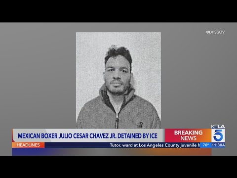 Julio Cesar Chavez Jr Arrested By ICE