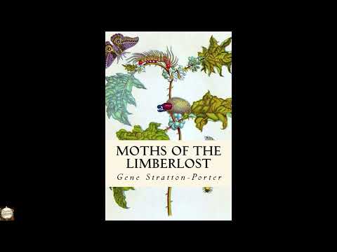 Moths of the Limberlost: A Book About Limberlost Cabin by Gene Stratton-Porter — free full audiobook