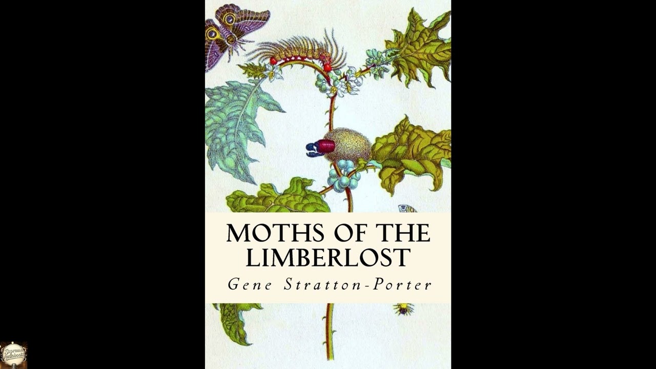 Moths of the Limberlost: A Book About Limberlost Cabin