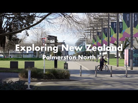 3 Hours In Palmerston North | Victoria Esplanade | The Square | Te Manawa Museum