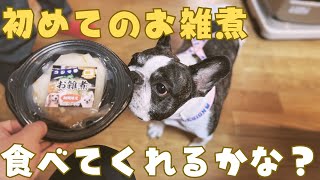お正月なので愛犬にお雑煮用意したけど大惨事になりました😂